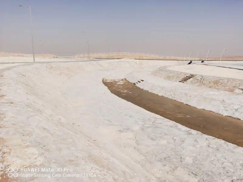 مخطط النرجس